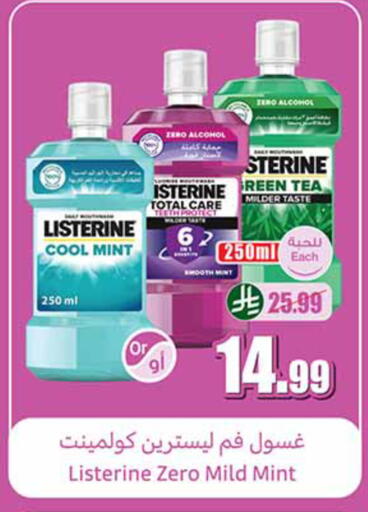 Mint available at أسواق عبد الله العثيم in مملكة العربية السعودية, السعودية, سعودية - الخبر‎