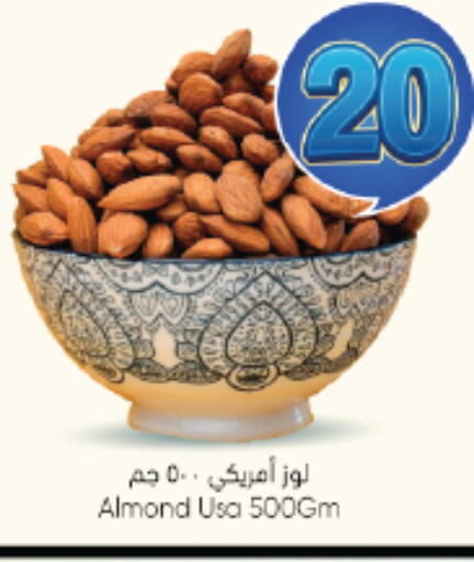 available at City Flower in KSA, Saudi Arabia, Saudi - Jubail