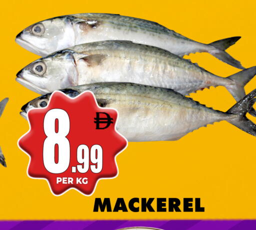 available at مركز الخصومات سنترو in الإمارات العربية المتحدة , الامارات - الشارقة / عجمان