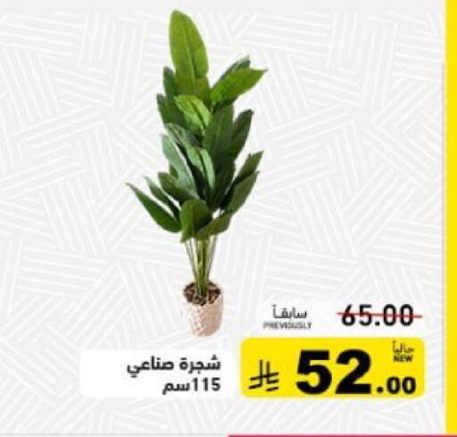 available at أسواق رامز in مملكة العربية السعودية, السعودية, سعودية - تبوك