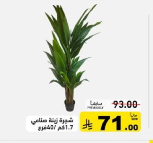 available at أسواق رامز in مملكة العربية السعودية, السعودية, سعودية - تبوك