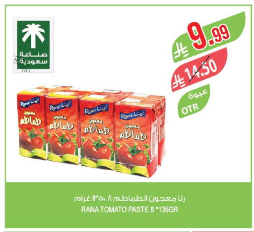 Tomato available at Farm  in KSA, Saudi Arabia, Saudi - Tabuk