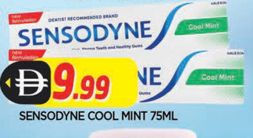 Mint available at المدينة in الإمارات العربية المتحدة , الامارات - الشارقة / عجمان