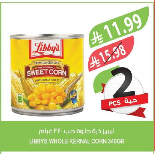 available at Farm  in KSA, Saudi Arabia, Saudi - Tabuk