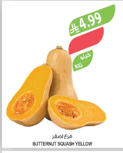 Squash available at Farm  in KSA, Saudi Arabia, Saudi - Tabuk