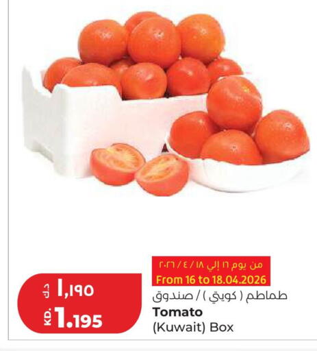 Tomato from Kuwait available at Lulu Hypermarket  in Kuwait - Kuwait City