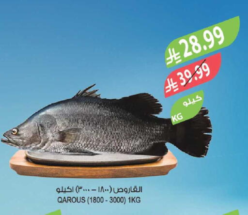 available at المزرعة in مملكة العربية السعودية, السعودية, سعودية - سكاكا