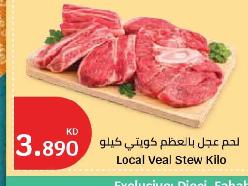 available at سيتي هايبرماركت in الكويت - مدينة الكويت