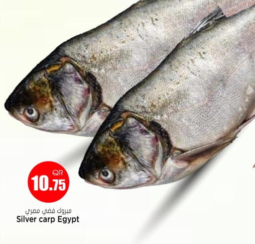 available at جراند هايبرماركت in قطر - الريان