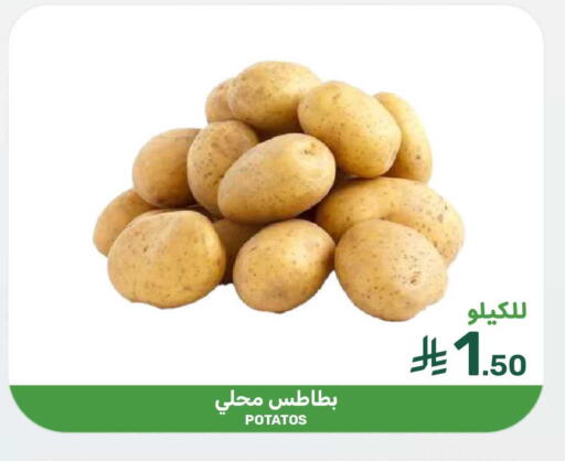 available at Mazaya in KSA, Saudi Arabia, Saudi - Dammam