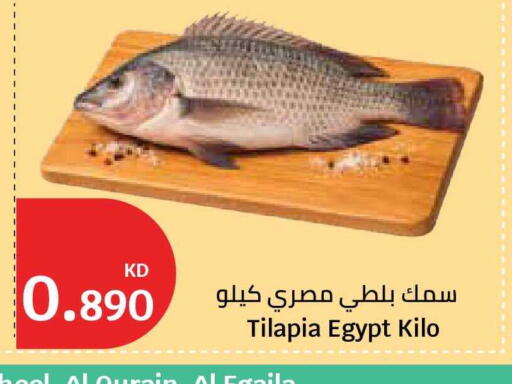 available at City Hypermarket in Kuwait - Kuwait City