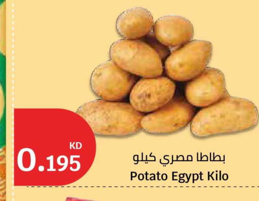 Potato from Egypt available at City Hypermarket in Kuwait - Kuwait City