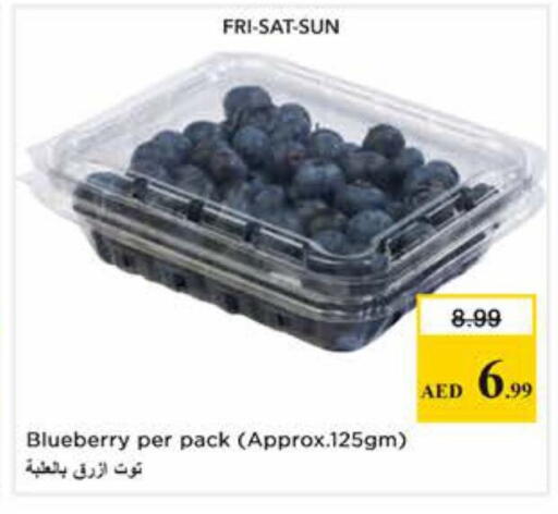 Blueberry BlueBerry available at نستو هايبرماركت in الإمارات العربية المتحدة , الامارات - دبي