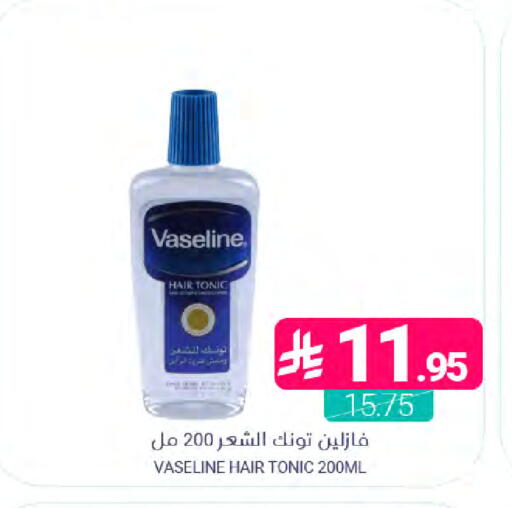 available at Muntazah Markets in KSA, Saudi Arabia, Saudi - Dammam