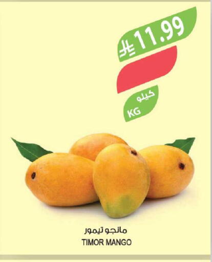 Mango available at المزرعة in مملكة العربية السعودية, السعودية, سعودية - الخبر‎