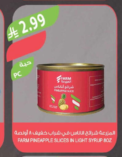 Pineapple available at Farm  in KSA, Saudi Arabia, Saudi - Sakaka