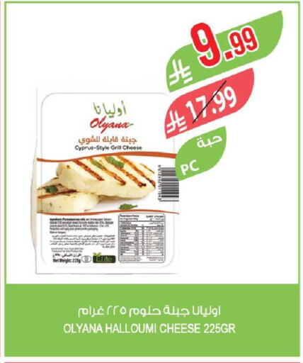 available at Farm  in KSA, Saudi Arabia, Saudi - Tabuk