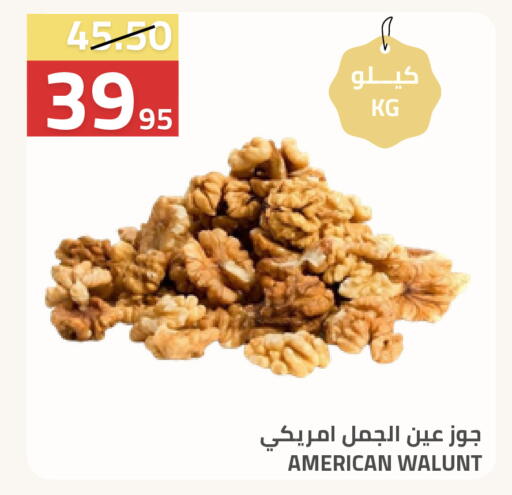 available at Astra Markets in KSA, Saudi Arabia, Saudi - Tabuk