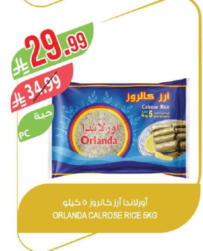 available at Farm  in KSA, Saudi Arabia, Saudi - Al-Kharj