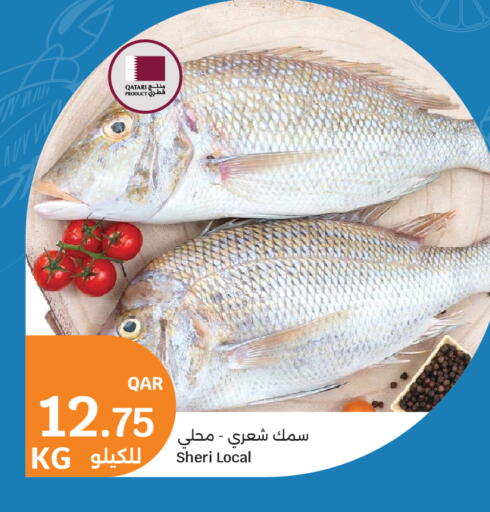 available at City Hypermarket in Qatar - Al Rayyan