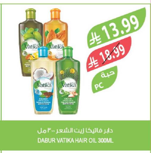 Coconut available at Farm  in KSA, Saudi Arabia, Saudi - Al-Kharj