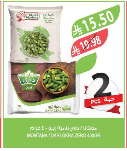 Okra available at Farm  in KSA, Saudi Arabia, Saudi - Al-Kharj