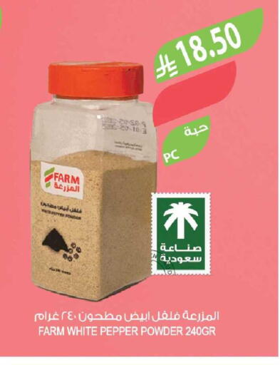 Pepper available at Farm  in KSA, Saudi Arabia, Saudi - Tabuk