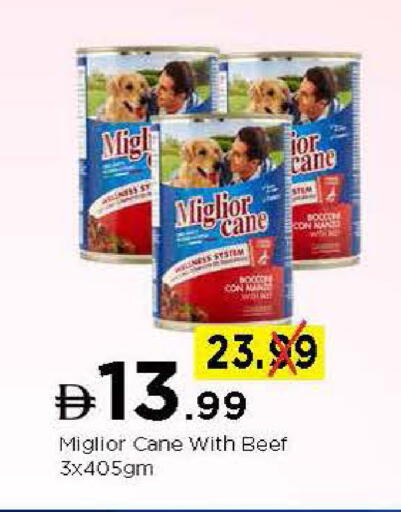 available at Nesto Hypermarket in UAE - Fujairah