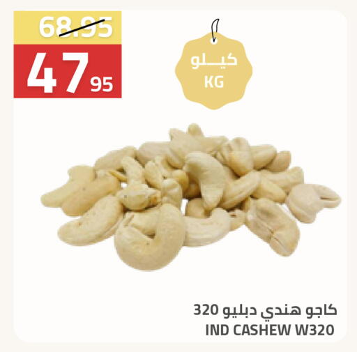 available at Astra Markets in KSA, Saudi Arabia, Saudi - Tabuk