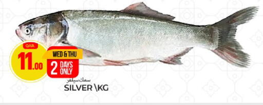 available at باريس هايبرماركت in قطر - الوكرة