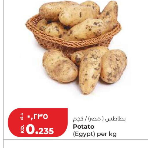 Potato from Egypt available at Lulu Hypermarket  in Kuwait - Kuwait City