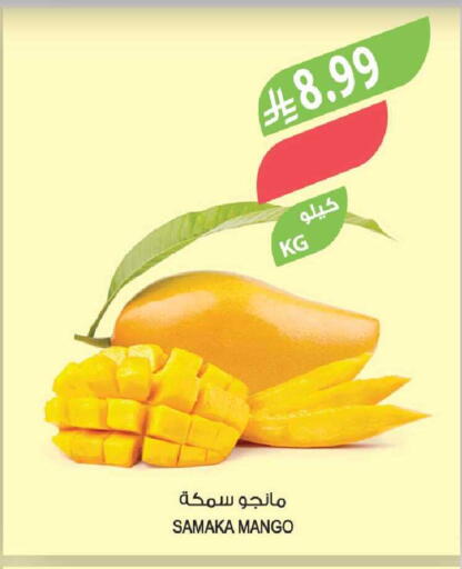 Mango available at المزرعة in مملكة العربية السعودية, السعودية, سعودية - الخبر‎