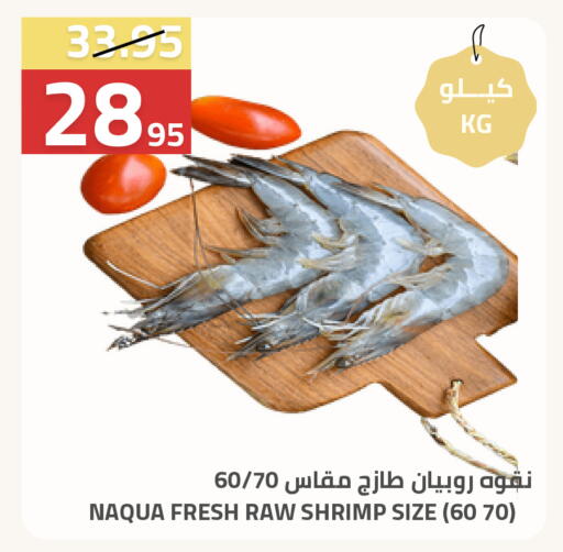 available at أسواق أسترا in مملكة العربية السعودية, السعودية, سعودية - تبوك