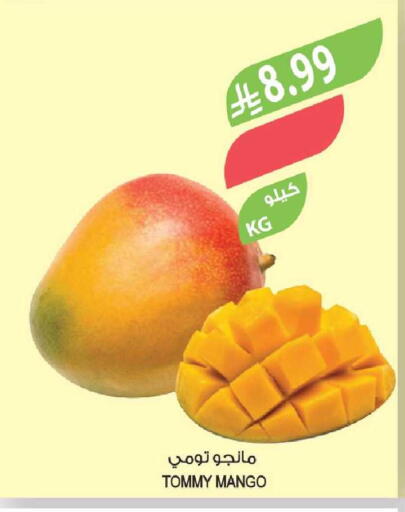 Mango available at المزرعة in مملكة العربية السعودية, السعودية, سعودية - الخبر‎