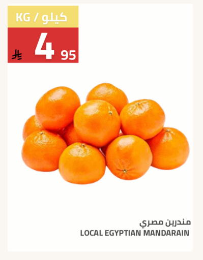 from Egypt available at Astra Markets in KSA, Saudi Arabia, Saudi - Tabuk