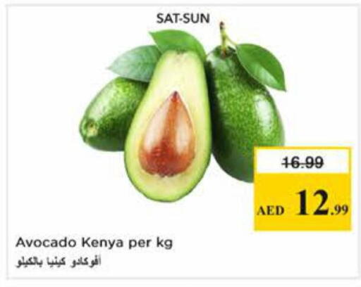 Avocado from Kenya available at نستو هايبرماركت in الإمارات العربية المتحدة , الامارات - دبي