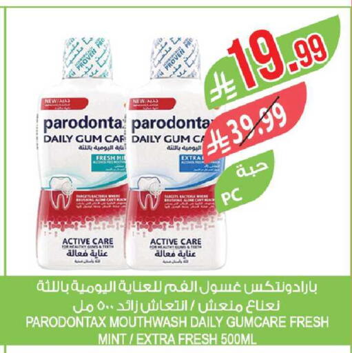 Mint available at Farm  in KSA, Saudi Arabia, Saudi - Al-Kharj