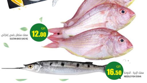 available at جراند هايبرماركت in قطر - الريان