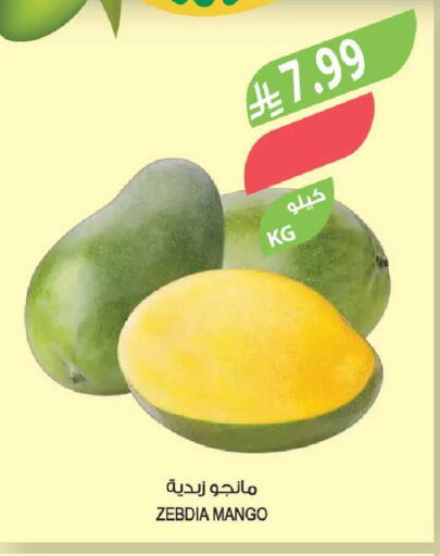 Mango available at المزرعة in مملكة العربية السعودية, السعودية, سعودية - الخبر‎
