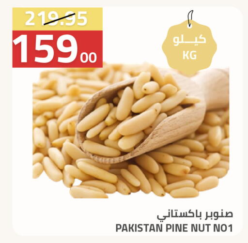 available at Astra Markets in KSA, Saudi Arabia, Saudi - Tabuk