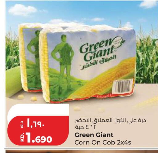 available at لولو هايبر ماركت in الكويت - مدينة الكويت