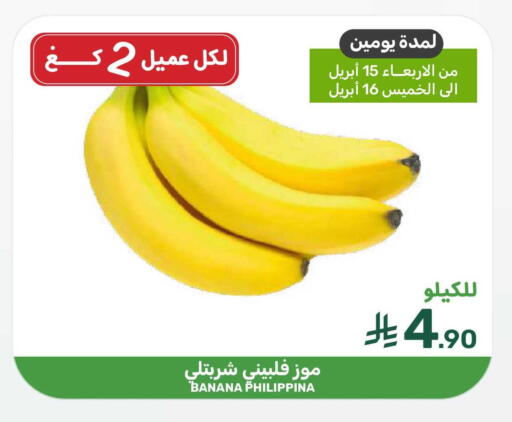 Banana available at  مـزايــا in مملكة العربية السعودية, السعودية, سعودية - المنطقة الشرقية