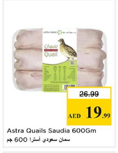 available at نستو هايبرماركت in الإمارات العربية المتحدة , الامارات - الشارقة / عجمان