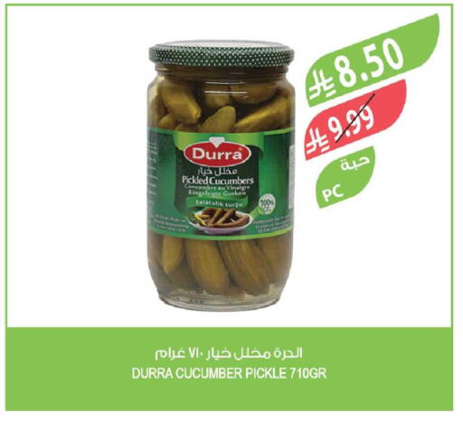 Cucumber available at المزرعة in مملكة العربية السعودية, السعودية, سعودية - الخبر‎