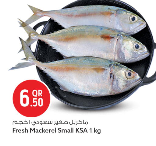 available at سفاري هايبر ماركت in قطر - الشحانية