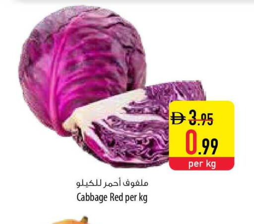 Cabbage available at السفير ماركت in الإمارات العربية المتحدة , الامارات - ٱلْفُجَيْرَة‎