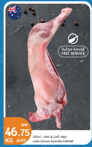 available at سيتي هايبرماركت in قطر - الضعاين