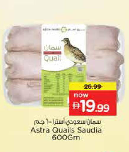 available at نستو هايبرماركت in الإمارات العربية المتحدة , الامارات - الشارقة / عجمان