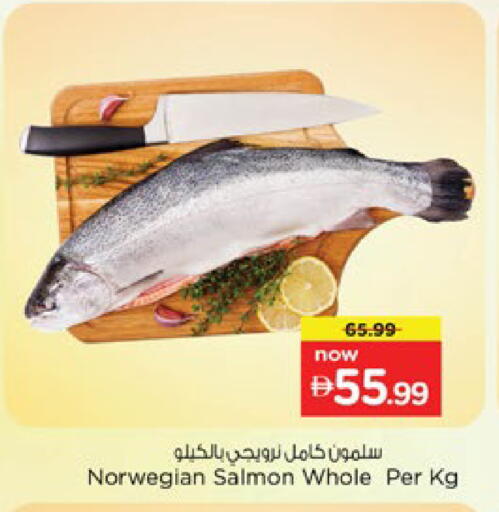 available at نستو هايبرماركت in الإمارات العربية المتحدة , الامارات - دبي