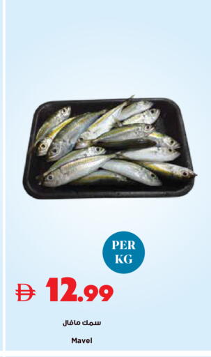 available at تروليز سوبرماركت in الإمارات العربية المتحدة , الامارات - الشارقة / عجمان